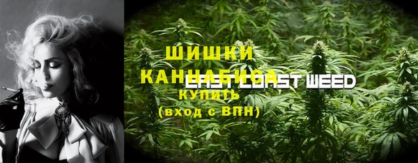 мет Ладушкин