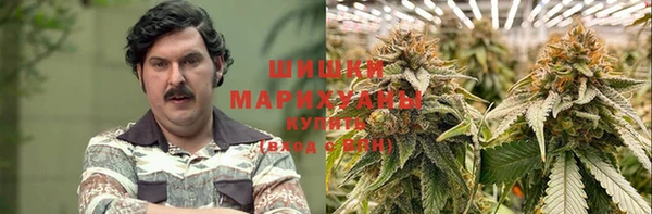 ГАЛЛЮЦИНОГЕННЫЕ ГРИБЫ Лабытнанги
