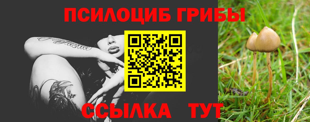 Галлюциногенные грибы мицелий Нижнекамск