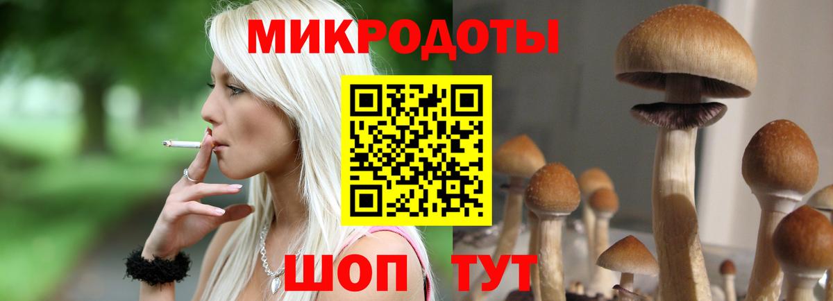 Псилоцибиновые грибы Psilocybe  Галлюциногенные грибы Psilocybe  Нижнекамск 
