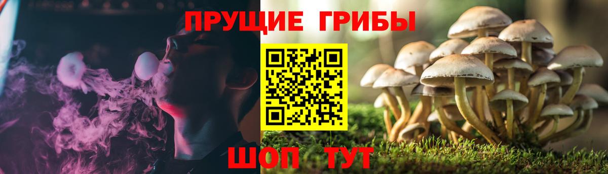 Нижнекамск  Псилоцибиновые грибы MAGIC MUSHROOMS  Вход с VPN 